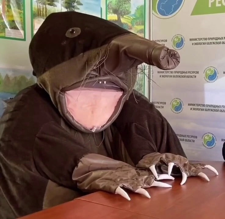 Екатерина Старожилова