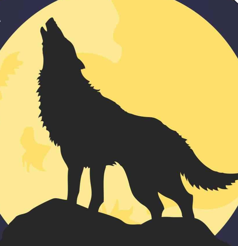 Рэй Буревестник